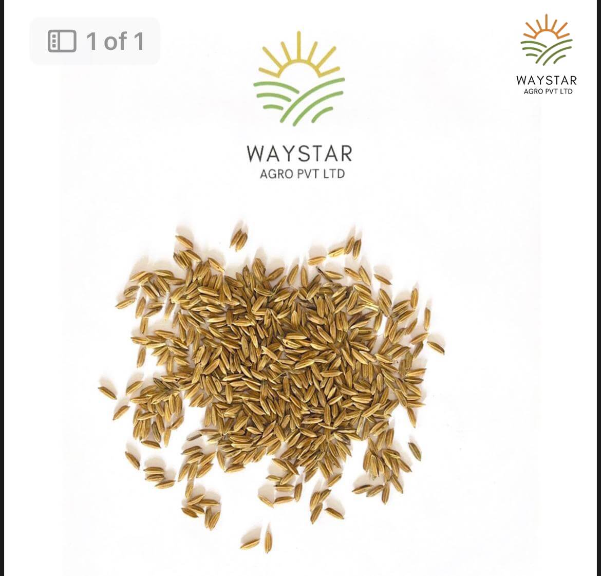 Paddy rice (red organic rice) 
By Waystar agro pvt ltd