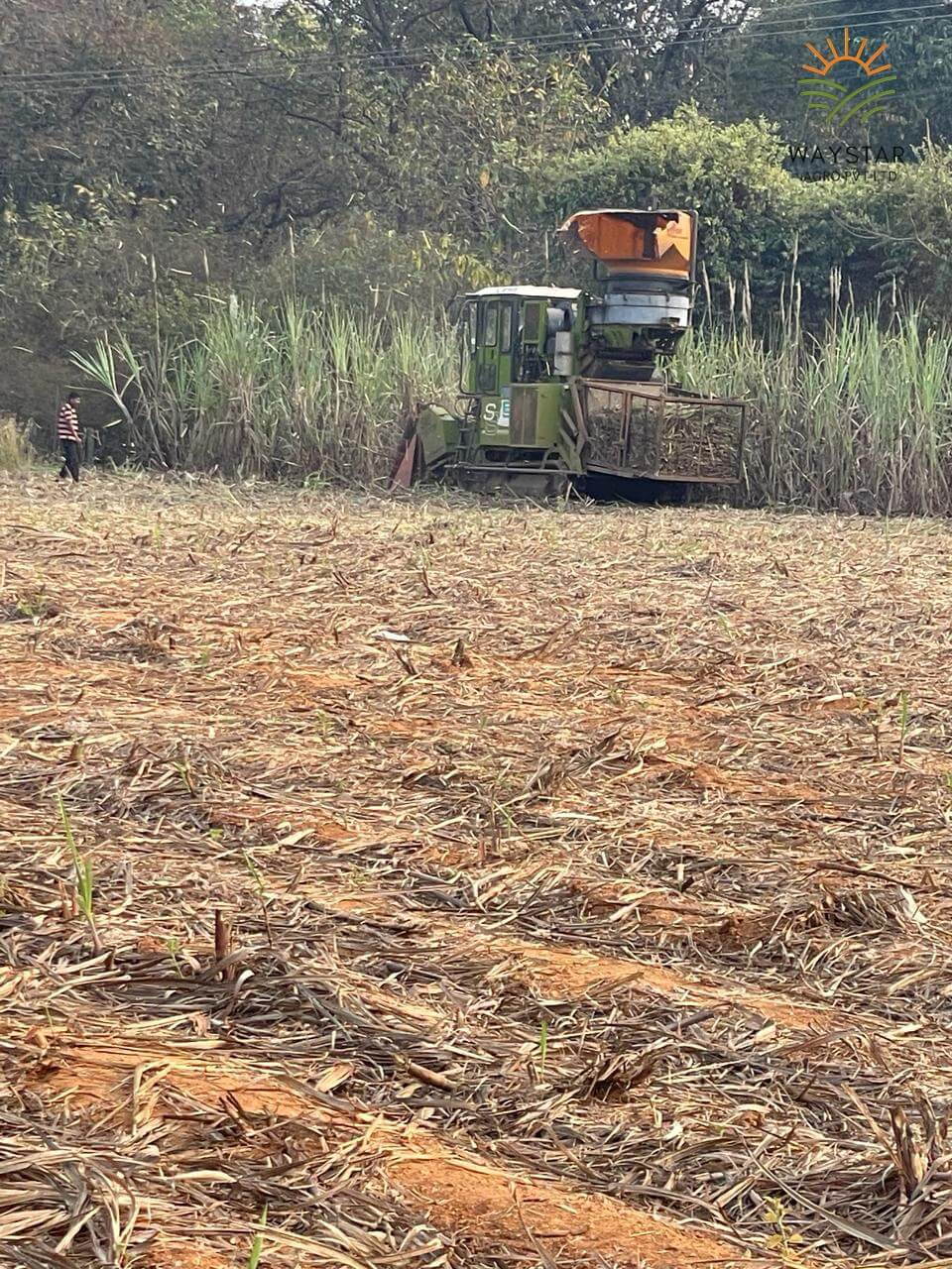 Using of Hitech machinery promoting optimized cultivation
By Waystar Agro Pvt Ltd