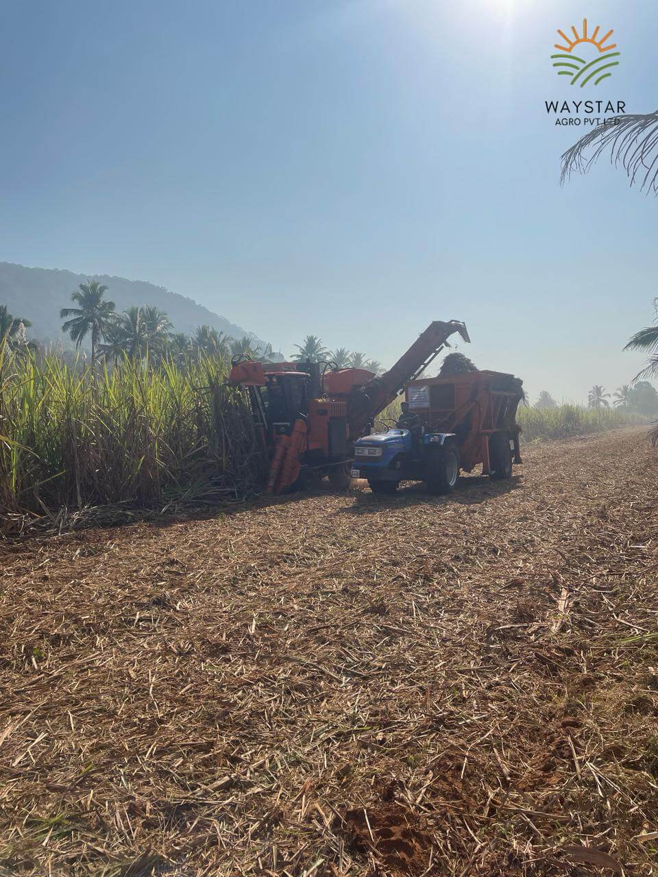 Using of Hitech machinery promoting optimized cultivation
By Waystar Agro Pvt Ltd